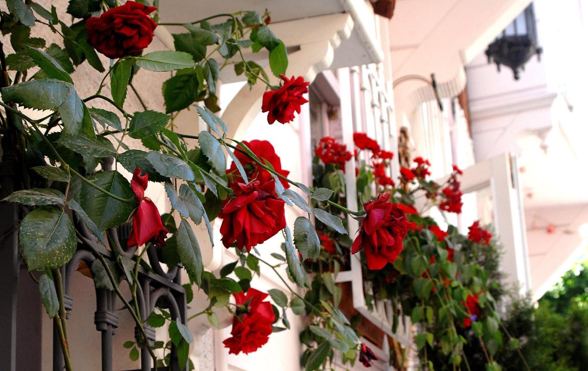 Darussaade Hotel Old City - Sultanahmet, Istanbul